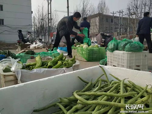 河北內(nèi)丘 微信群里搭平臺，農(nóng)超對接保供銷